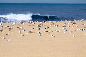 Reisen an die französische Atlantikküste